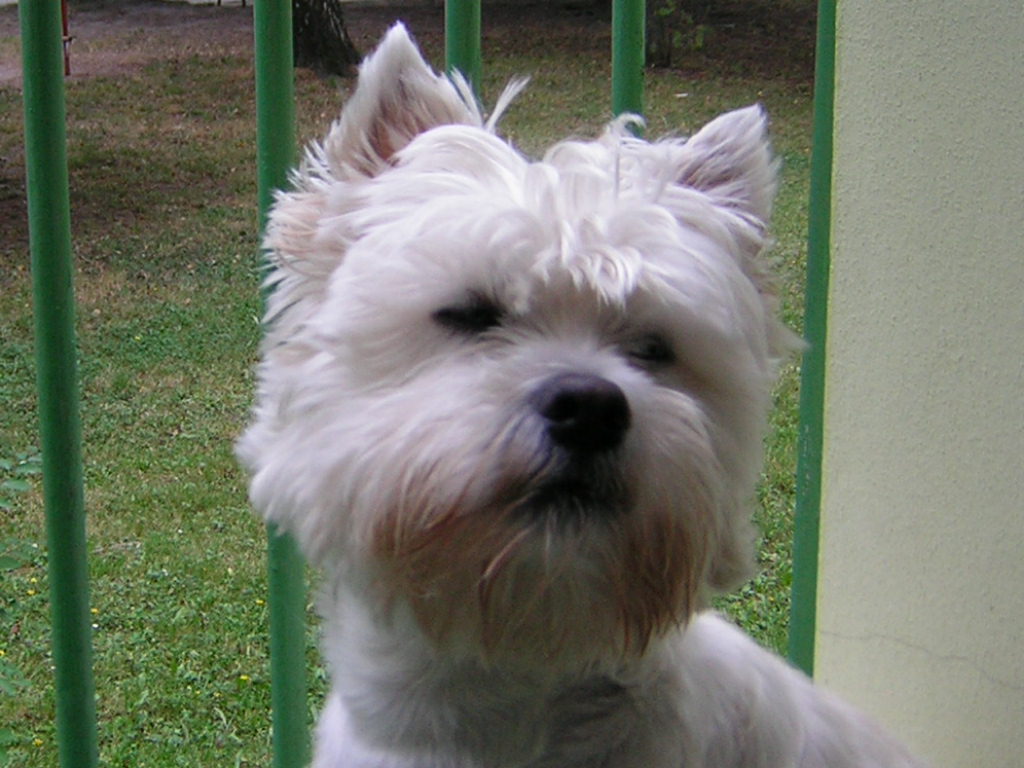 RSCN0159.JPG