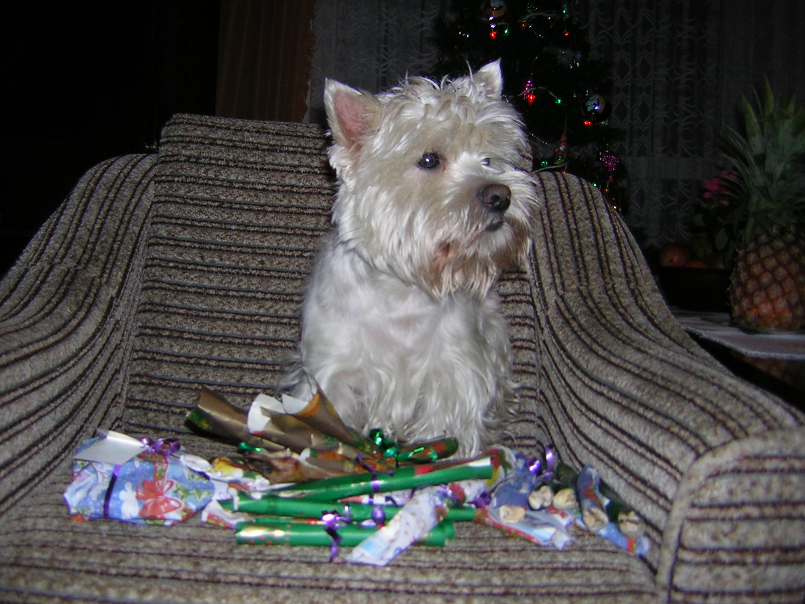 DSCN0444.JPG