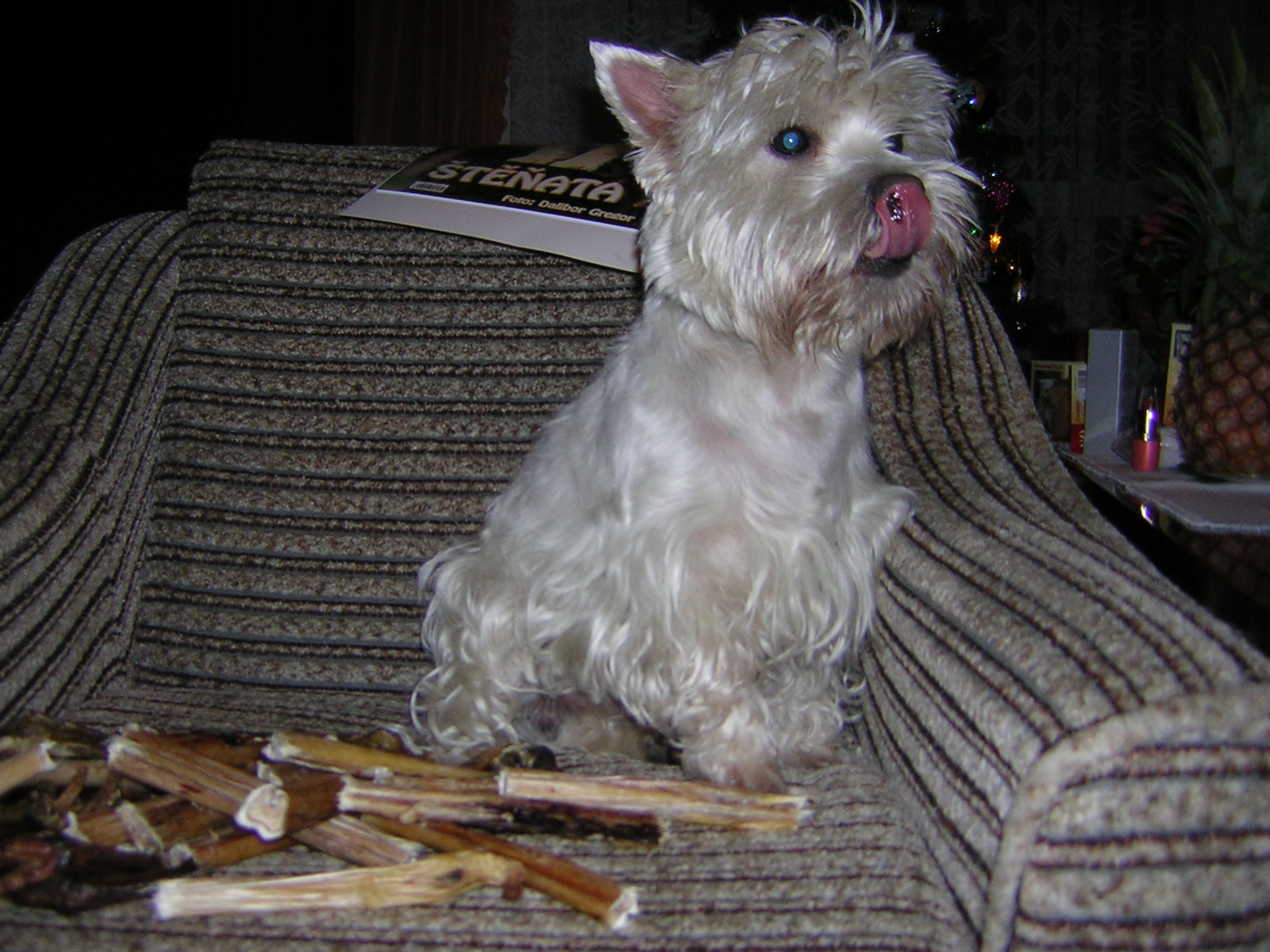 DSCN0449.JPG