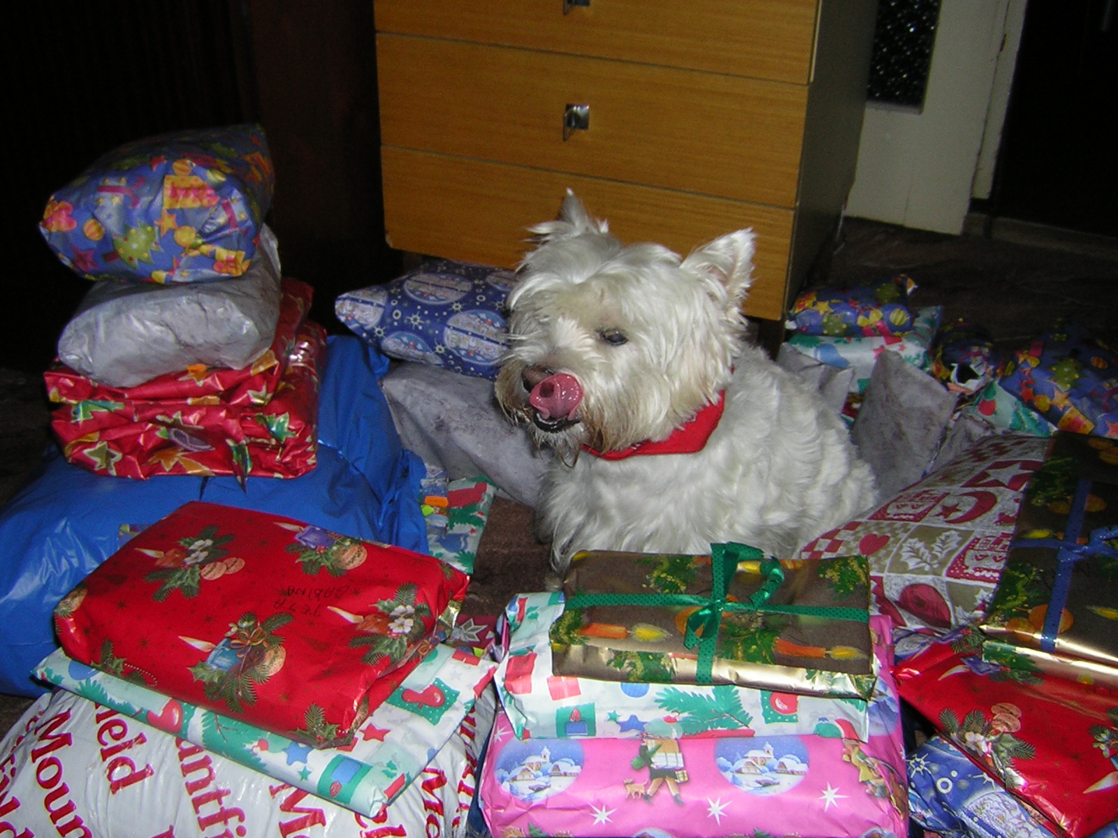 DSCN1064.JPG