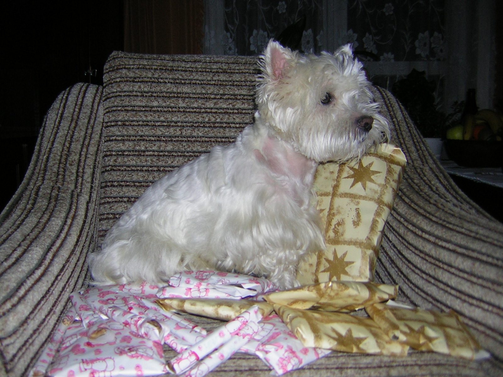 DSCN1771.JPG