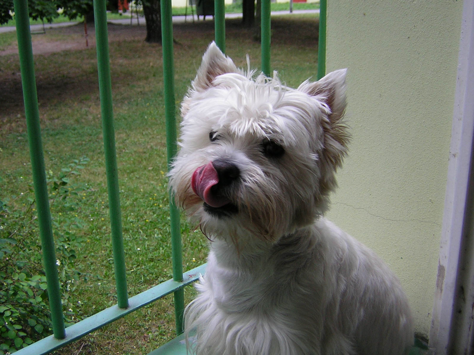 DSCN0155.JPG